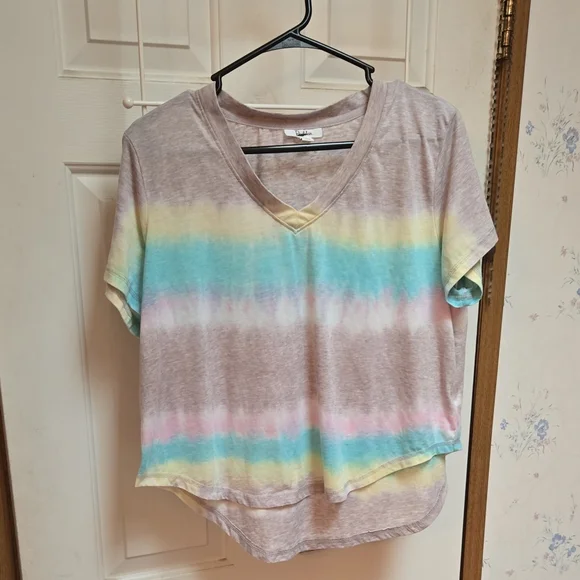 Multicolored Crop Tee with V-Neck and Relaxed Fit - Picture 1 of 7